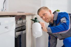 Common methods used for eliminating bed bugs